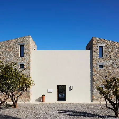 Citrus Grove Luxury * Skaleta