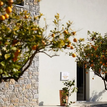 Villa Citrus Grove Luxury