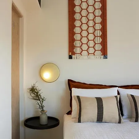 Citrus Grove Luxury Skaleta