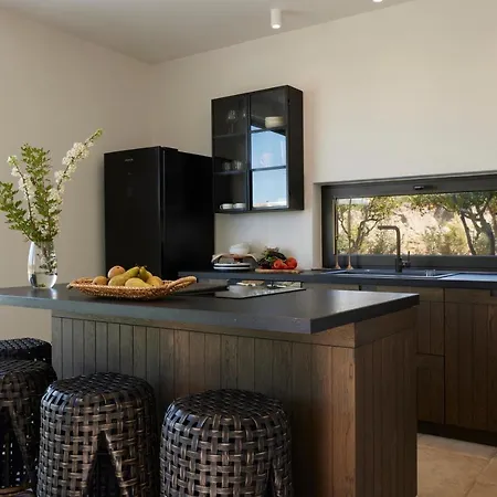 Villa Citrus Grove Luxury Skaleta